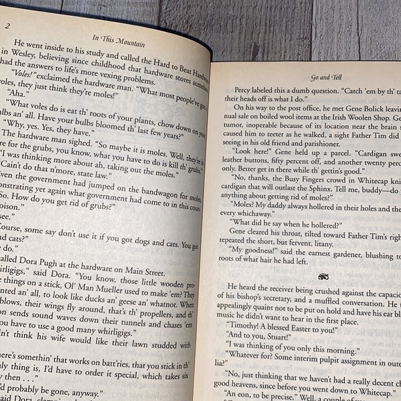 In this Mountain by Jan Karon book - Picture 7 of 7